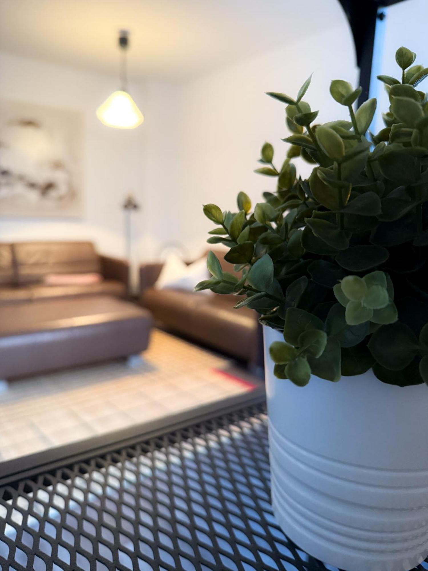 Alexxanders Apartments & Studios Chemnitz Room photo